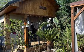 Cabana Maya
